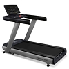 BRONZE GYM T930M PRO preview 3