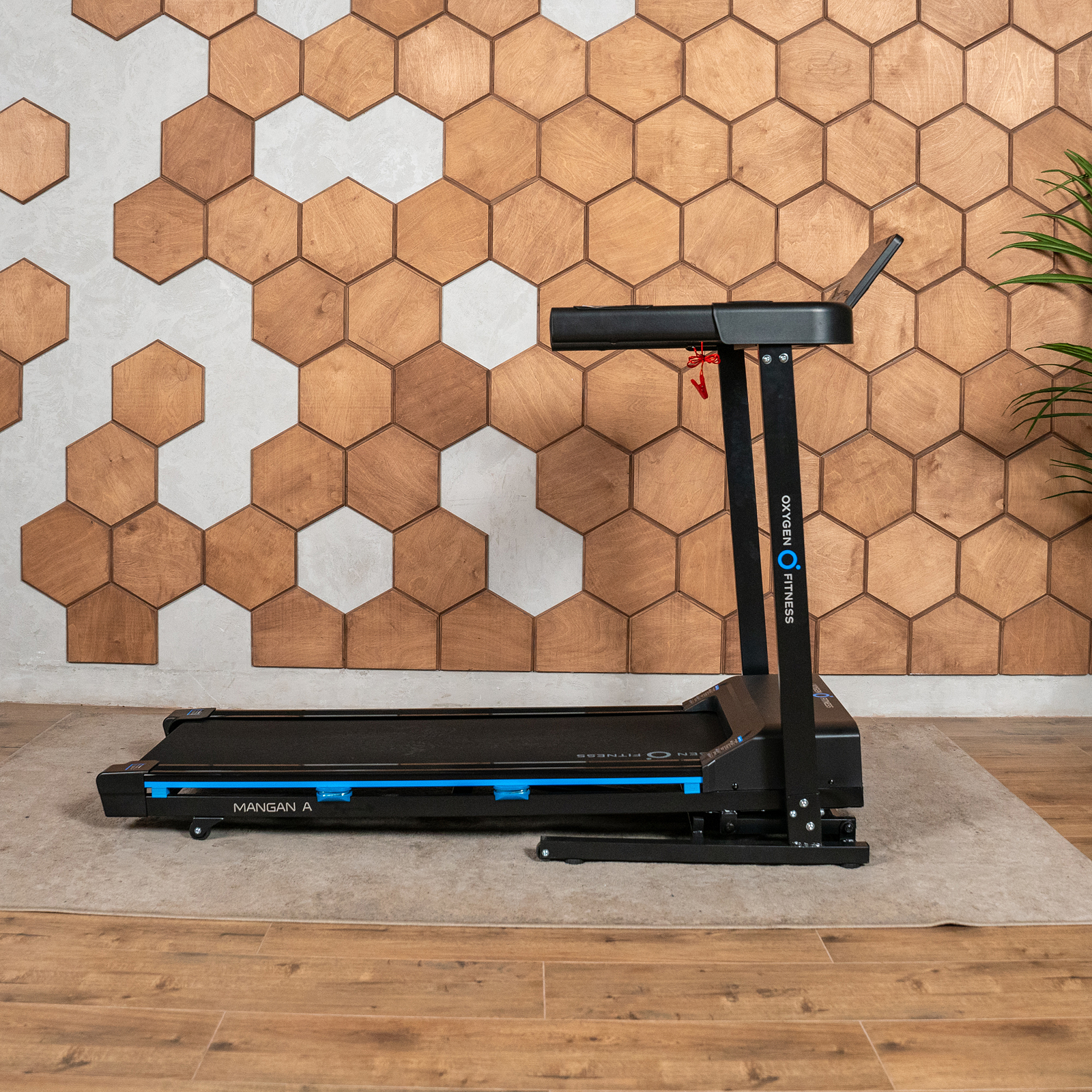 OXYGEN FITNESS MANGAN A photo 5