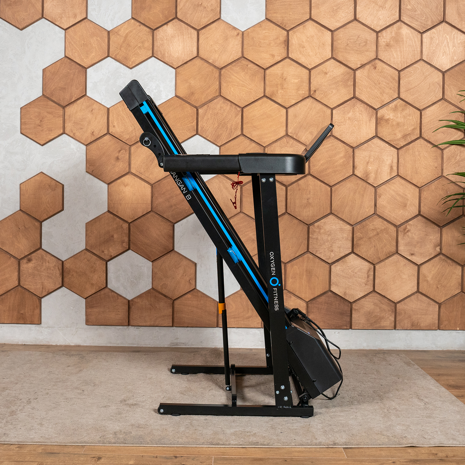 OXYGEN FITNESS MANGAN B photo 9