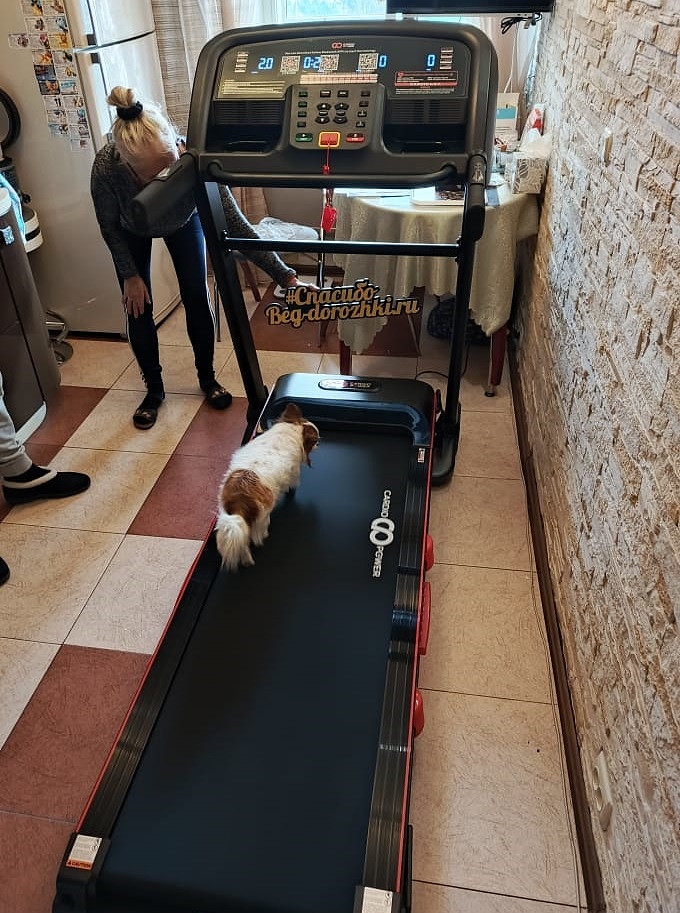 CardioPower T40 (новая, без упаковки) photo 25