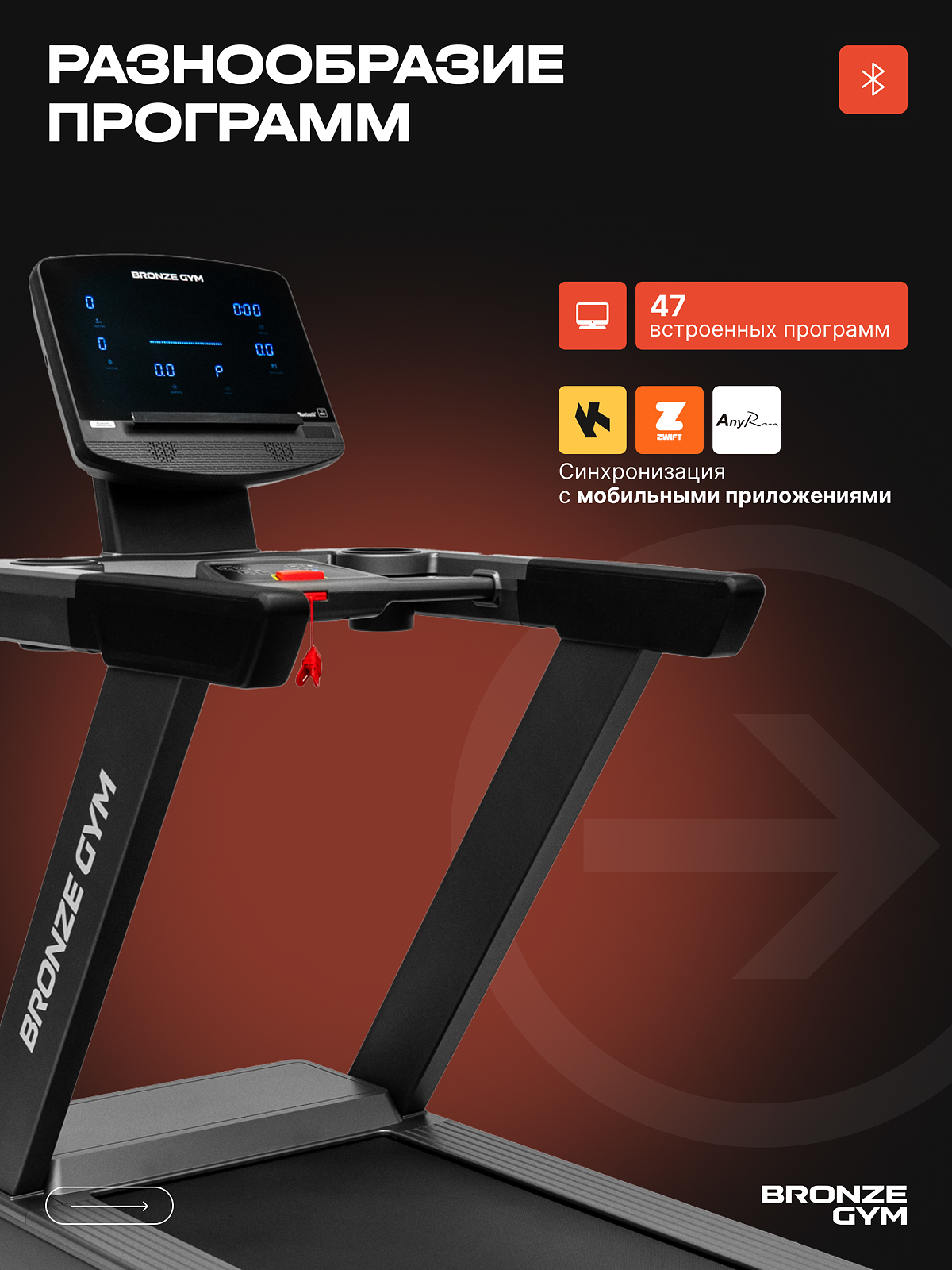 BRONZE GYM POWERWAY preview 8