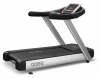 Bronze Gym S900 