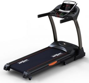 Proxima Persona Pulse